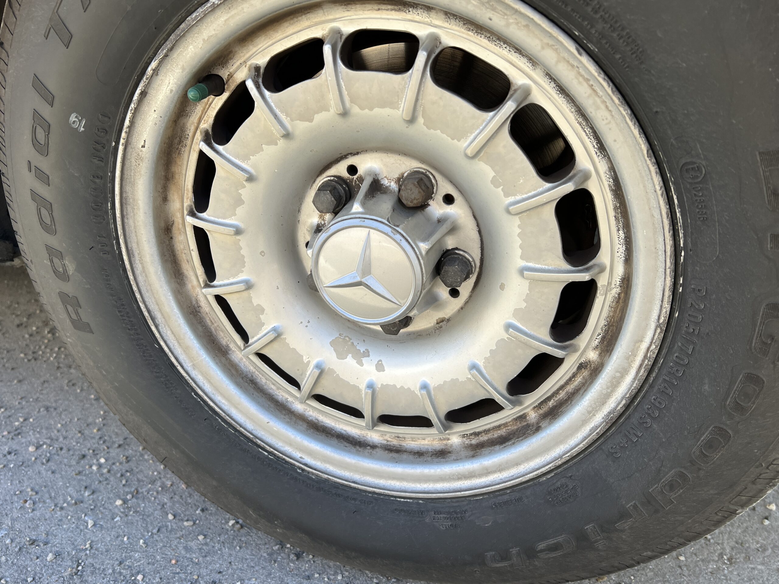 Photo 2024-03-18, 12 31 45 PM